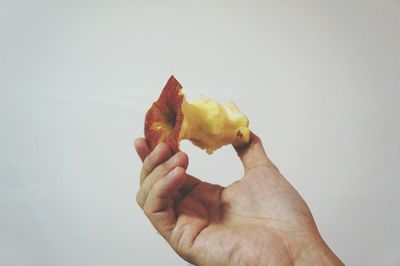 Cropped hand holding over white background