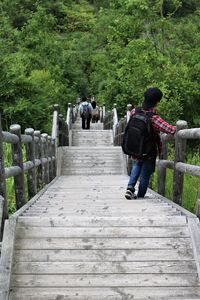 Rear view of men walking on staircase