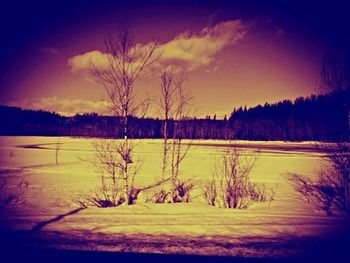 Scenic view of frozen lake against sky during winter