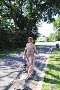 Young caucasian girl walks with two dogs on the road among tall trees in summer