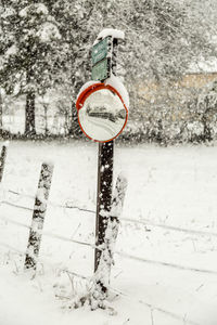 Close-up of ice cream hanging on snow