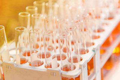 Close-up of test tubes in tray