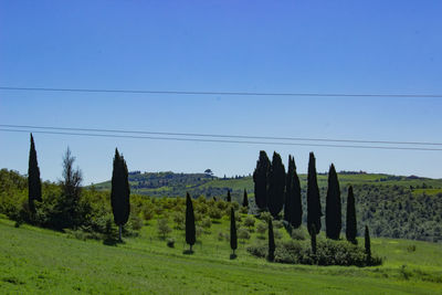Scenic view of field against clear blue sky