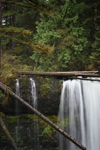 Scenic view of waterfall in forest