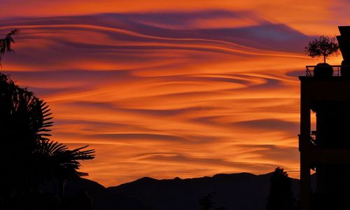 Low angle view of silhouette trees against orange sky