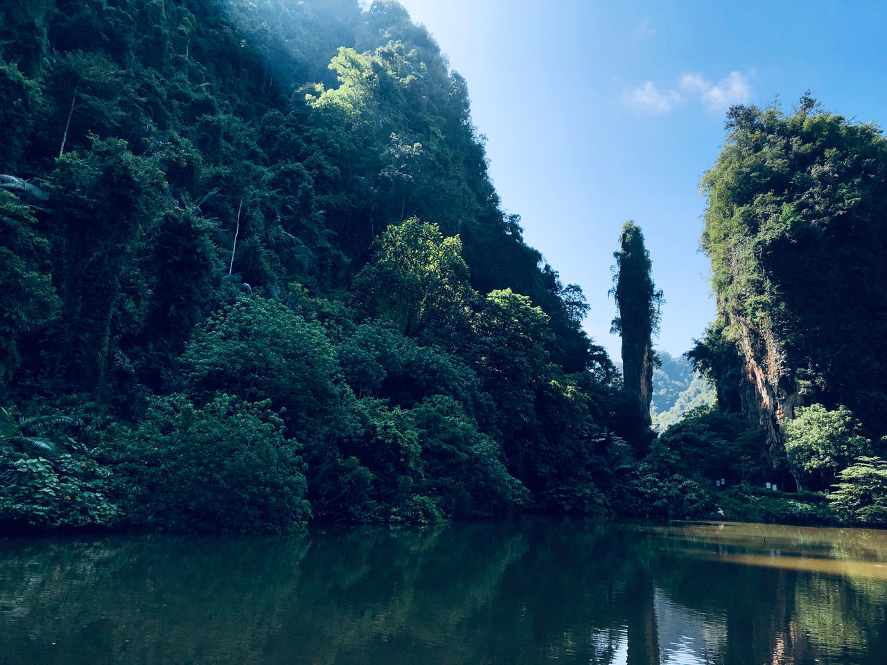 SCENIC VIEW OF LAKE BY TREES AGAINST SKY