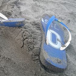 Close-up of tree against blue sky