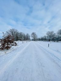 Snow covered plants against sky