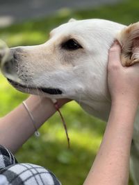 Close-up of dog