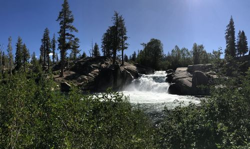 Scenic view of waterfall in forest against sky