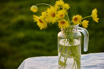 Close-up of flower vase