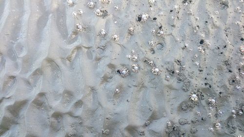 Full frame shot of wet sand
