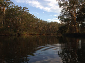 Reflection of trees in lake against sky