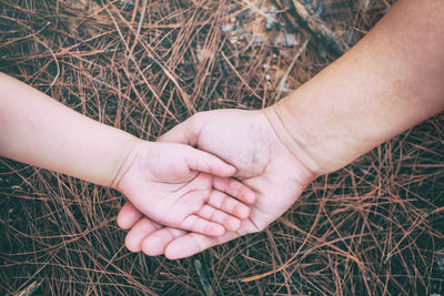 Cropped hands of parent and child