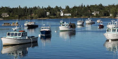 Fishing boats that are moored in bass harbor at dusk, with land and houses in the back ground.