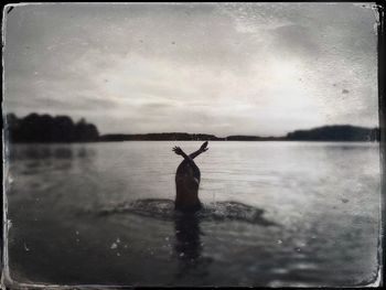 Silhouette bird on lake against sky