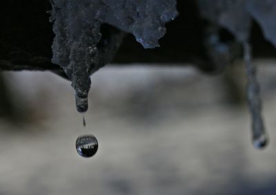 Close-up of water drop on leaf