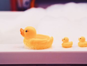 Close-up of rubber ducks on bathtub