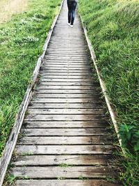 Low section of man standing on steps