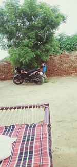 People riding bicycle against trees