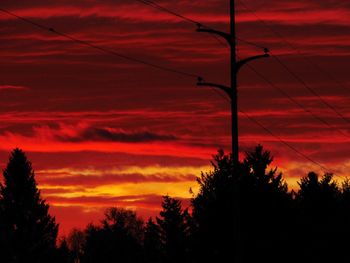 Silhouette of trees at sunset