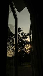 Trees against sky seen through window