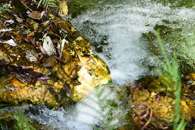 High angle view of waterfall