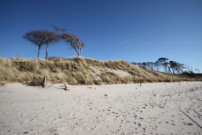 Scenic view of beach against clear blue sky