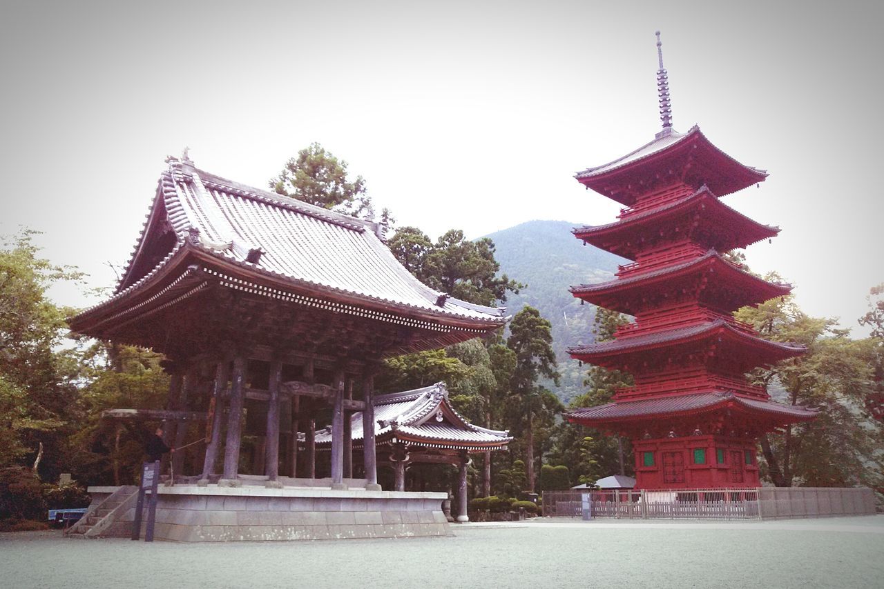 place of worship, religion, spirituality, architecture, built structure, building exterior, temple - building, clear sky, tree, low angle view, tradition, temple, roof, church, pagoda, cultures, culture, famous place