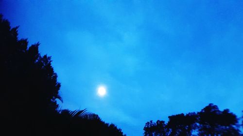 Low angle view of silhouette trees against sky