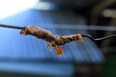 Low angle view of fabric tied on barbed wire