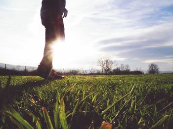 Scenic view of grassy field against sky