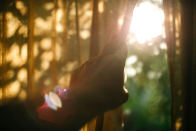 Close-up of hand on tree in forest