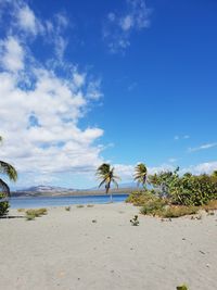 Scenic view of beach against blue sky