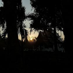 Low angle view of silhouette trees by building against sky at sunset