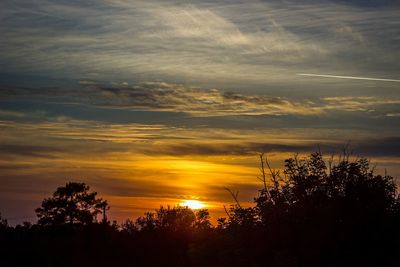 Silhouette trees against sky during sunset