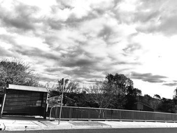 Trees against sky