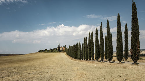 Typical scenic landscape in tuscany italy
