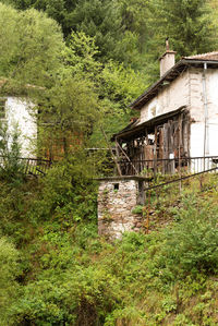 Abandoned building in forest