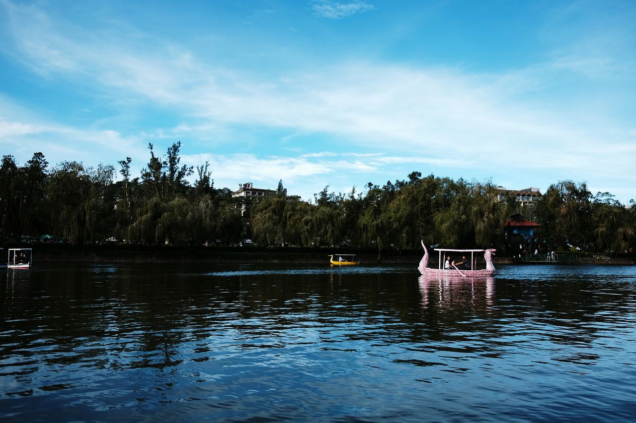 tree, sky, water, nature, no people, lake, outdoors, beauty in nature, day