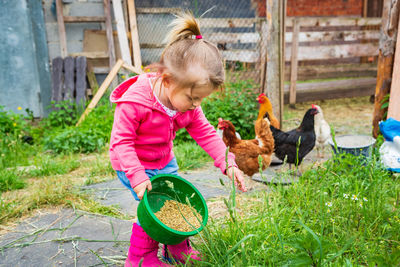Girl holding container with food at farm