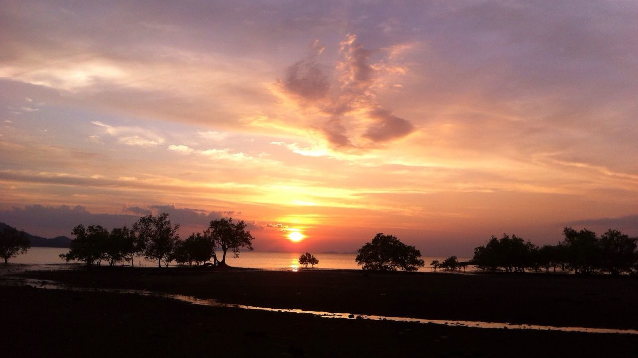 sunset, tranquil scene, scenics, tranquility, beauty in nature, orange color, sky, sun, tree, silhouette, beach, idyllic, nature, water, sea, cloud - sky, shore, landscape, cloud, non-urban scene