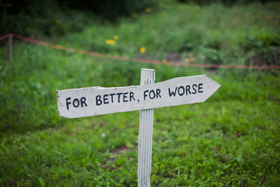 Close-up of road sign