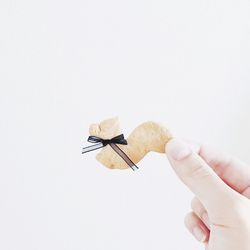 Close-up of hand holding ice cream over white background