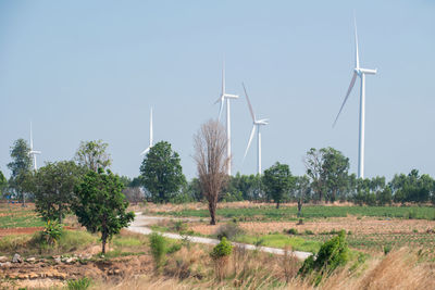 Scenic view of field against clear sky