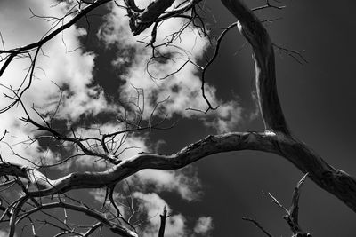 Low angle view of bare tree against cloudy sky