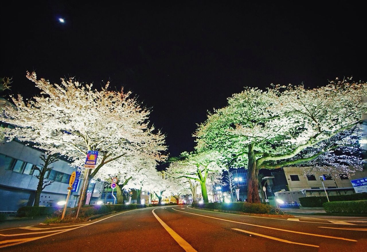 night, illuminated, road, transportation, street, building exterior, street light, the way forward, car, tree, architecture, road marking, built structure, city, land vehicle, lighting equipment, sky, clear sky, outdoors, diminishing perspective