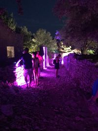 People standing by illuminated tree at night