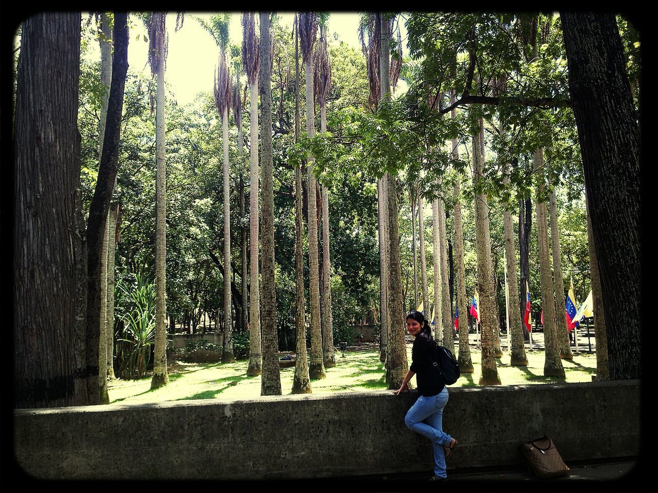 transfer print, tree, auto post production filter, lifestyles, leisure activity, growth, park - man made space, full length, person, tree trunk, men, casual clothing, rear view, standing, park, day, green color, branch