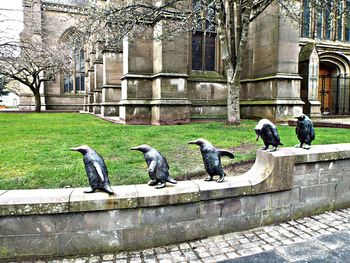 Birds perching on a building